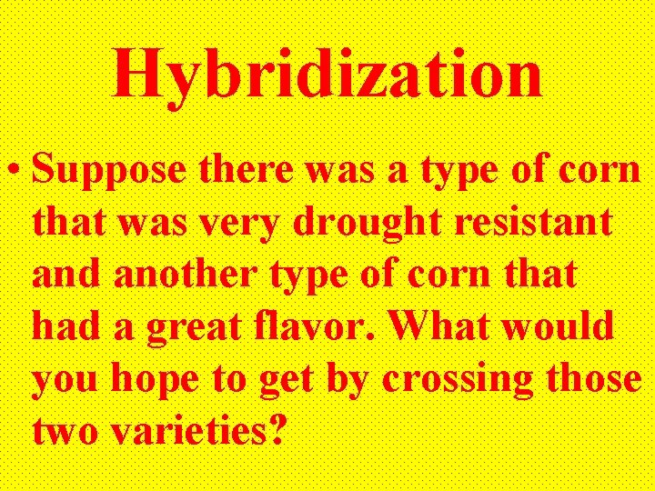 Hybridization • Suppose there was a type of corn that was very drought resistant