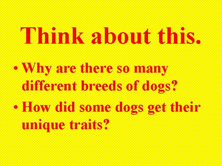 Think about this. • Why are there so many different breeds of dogs? •