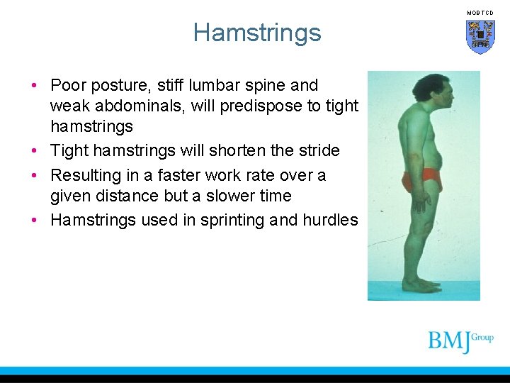 MOB TCD Hamstrings • Poor posture, stiff lumbar spine and weak abdominals, will predispose