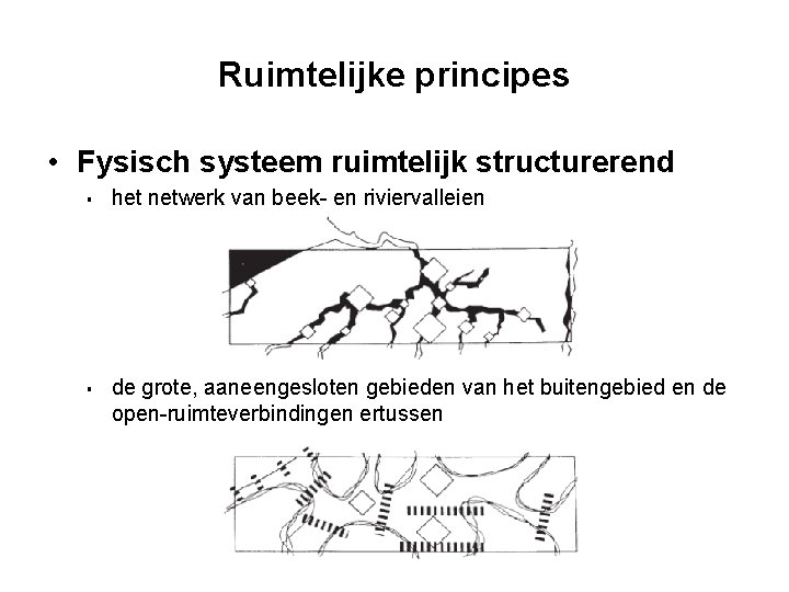 Ruimtelijke principes • Fysisch systeem ruimtelijk structurerend § § het netwerk van beek- en