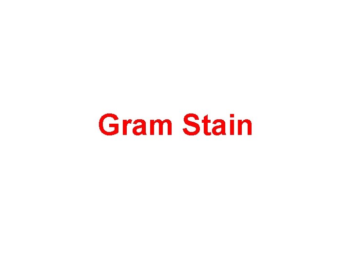 Gram Stain 