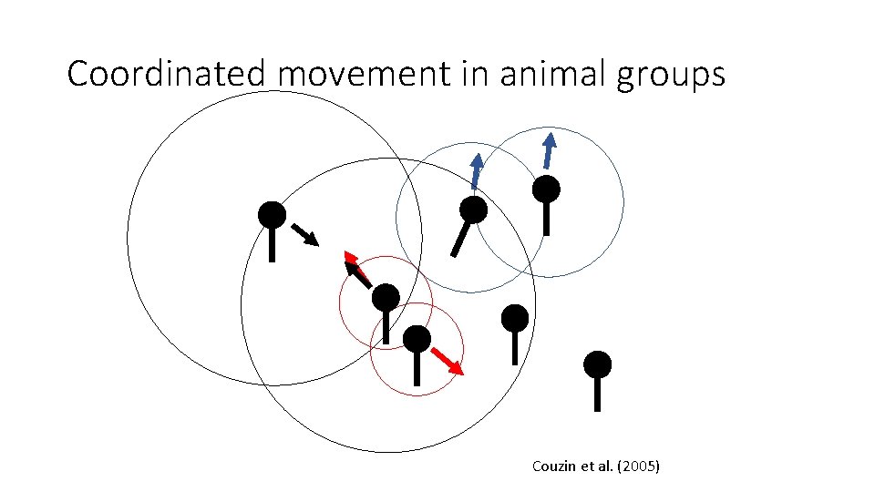Coordinated movement in animal groups Couzin et al. (2005) 15 
