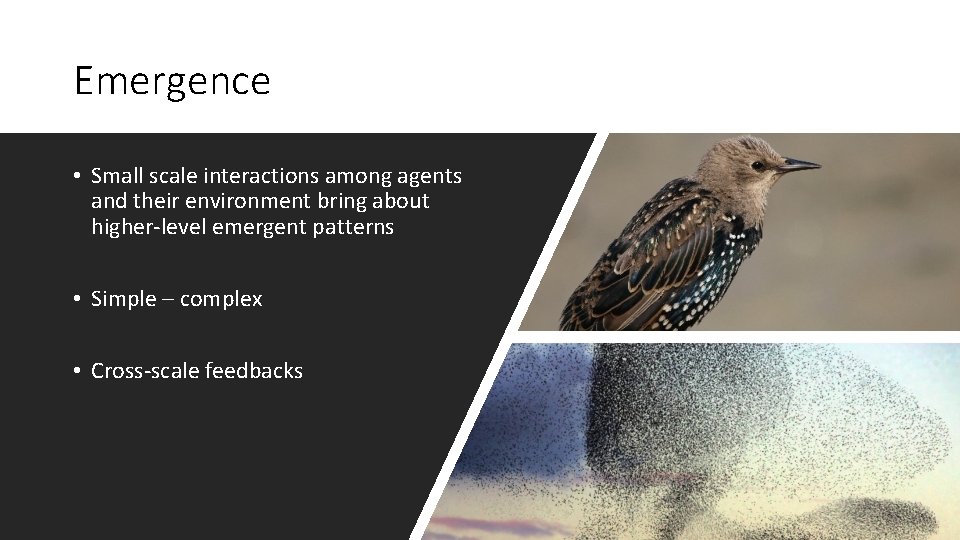 Emergence • Small scale interactions among agents and their environment bring about higher-level emergent