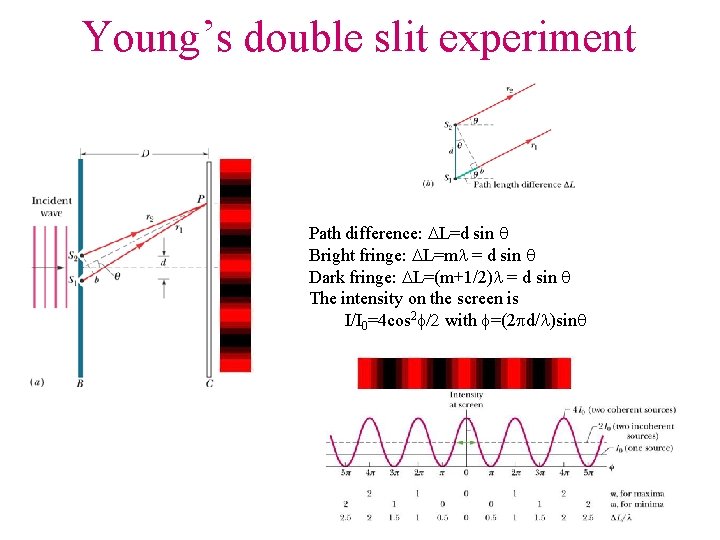 Young’s double slit experiment Path difference: DL=d sin q Bright fringe: DL=ml = d