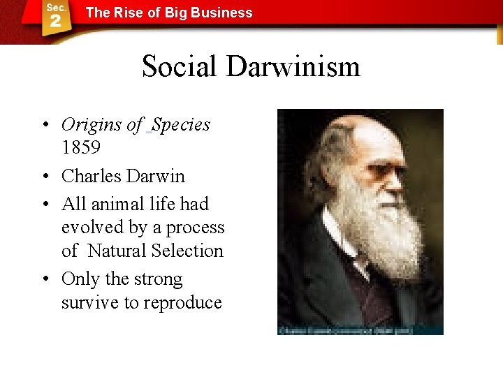 The Rise of Big Business Social Darwinism • Origins of Species 1859 • Charles