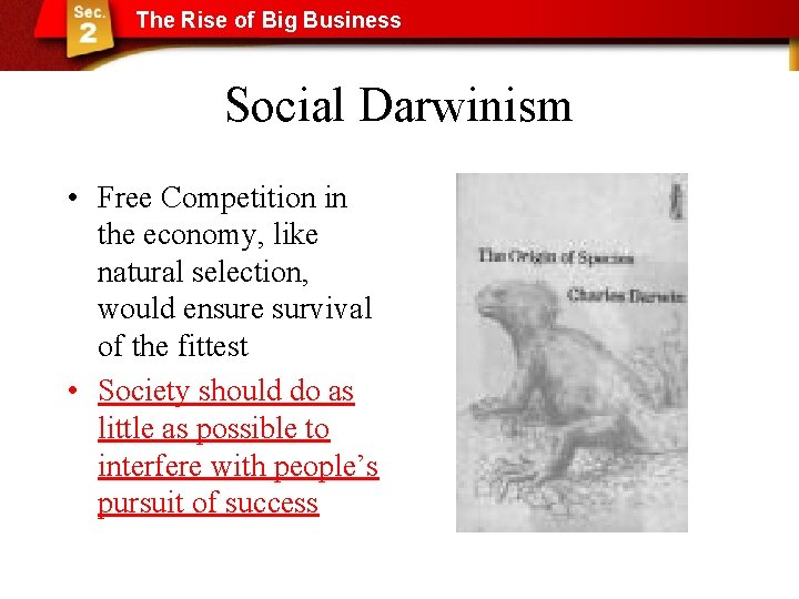 The Rise of Big Business Social Darwinism • Free Competition in the economy, like