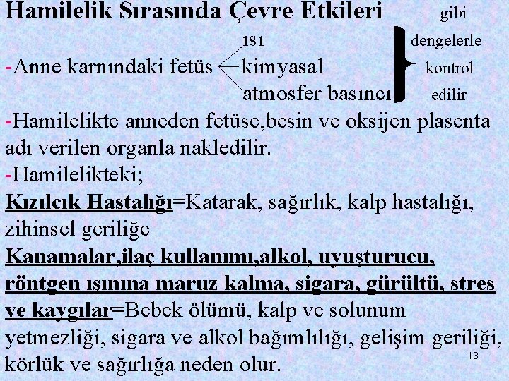 Hamilelik Sırasında Çevre Etkileri gibi ısı dengelerle -Anne karnındaki fetüs kimyasal kontrol atmosfer basıncı