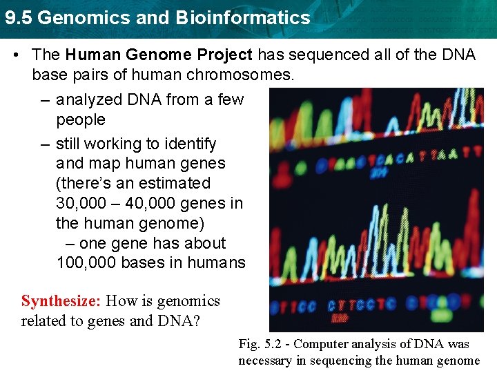 9. 5 Genomics and Bioinformatics • The Human Genome Project has sequenced all of