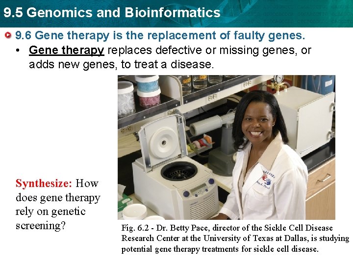 9. 5 Genomics and Bioinformatics 9. 6 Gene therapy is the replacement of faulty