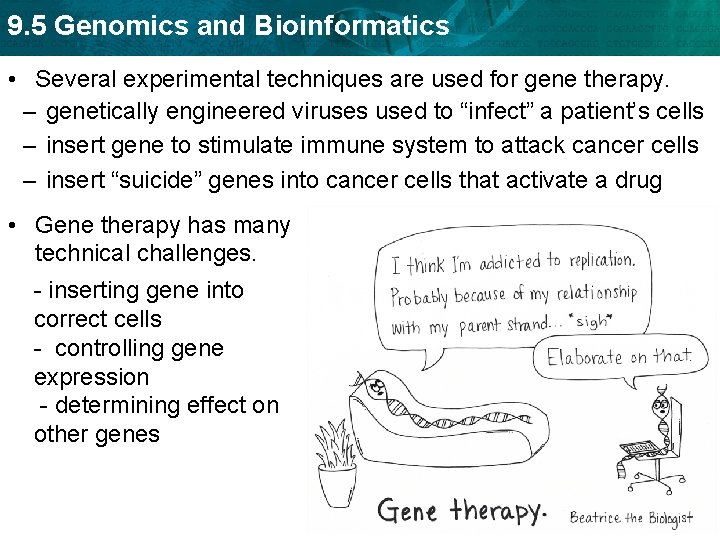 9. 5 Genomics and Bioinformatics • Several experimental techniques are used for gene therapy.