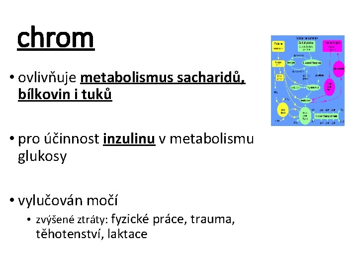 chrom • ovlivňuje metabolismus sacharidů, bílkovin i tuků • pro účinnost inzulinu v metabolismu