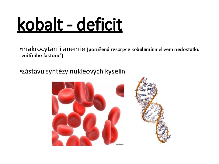 kobalt - deficit • makrocytární anemie (porušená resorpce kobalaminu vlivem nedostatku „vnitřního faktoru“) •