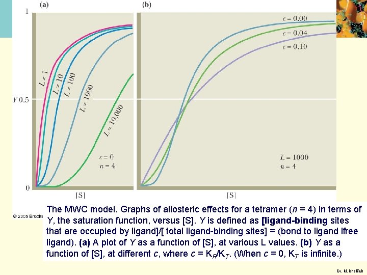 The MWC model. Graphs of allosteric effects for a tetramer (n = 4) in