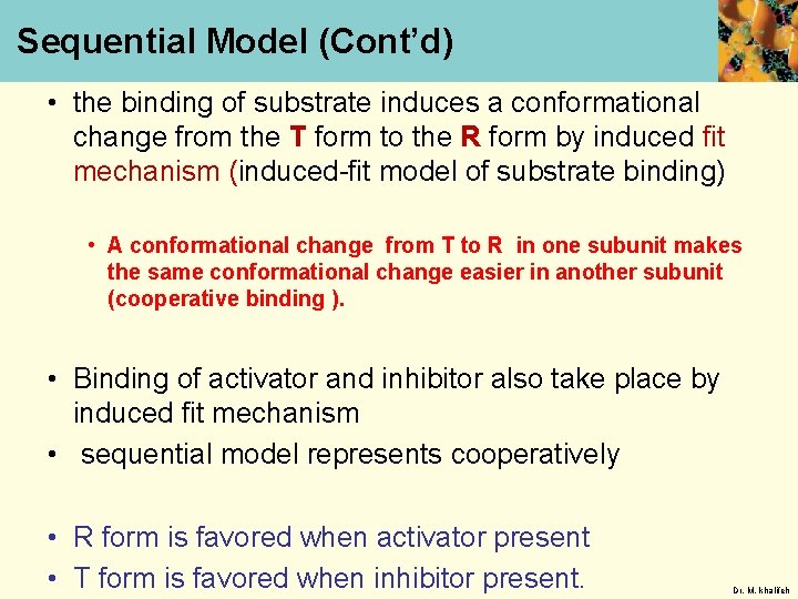 Sequential Model (Cont’d) • the binding of substrate induces a conformational change from the