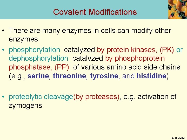Covalent Modifications • There are many enzymes in cells can modify other enzymes: •