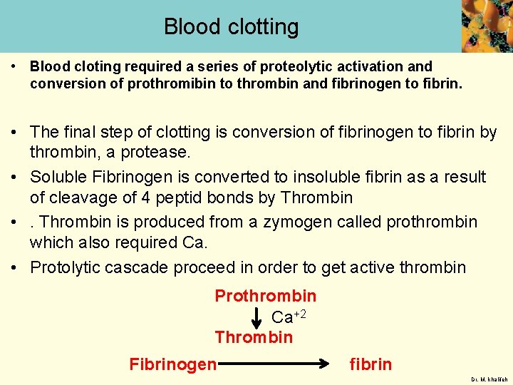 Blood clotting • Blood cloting required a series of proteolytic activation and conversion of