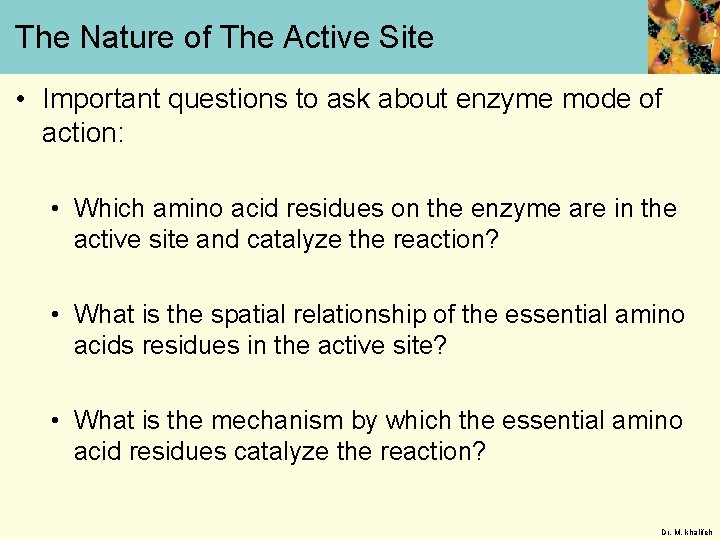 The Nature of The Active Site • Important questions to ask about enzyme mode