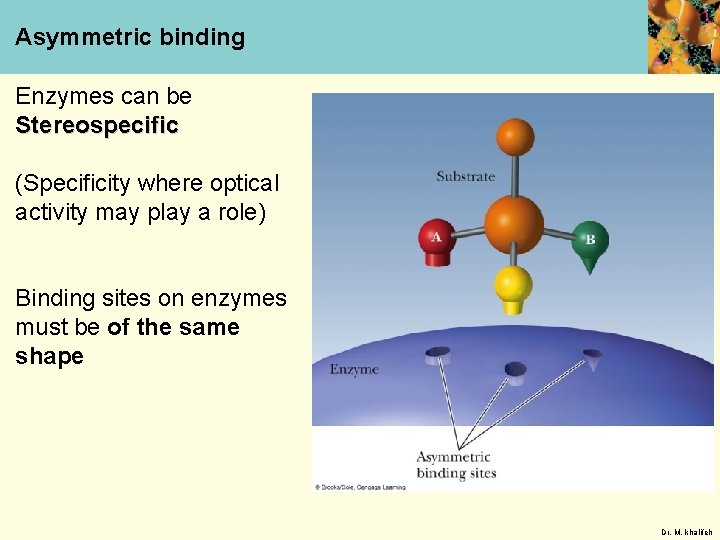 Asymmetric binding Enzymes can be Stereospecific (Specificity where optical activity may play a role)