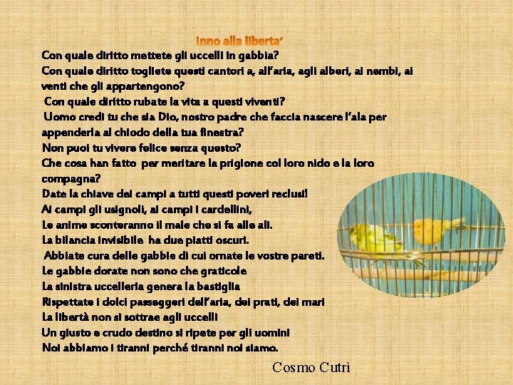 Con quale diritto mettete gli uccelli in gabbia? Con quale diritto togliete questi cantori