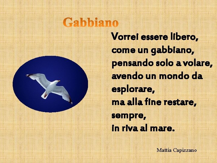 Vorrei essere libero, come un gabbiano, pensando solo a volare, avendo un mondo da