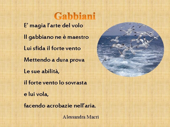 E’ magia l’arte del volo Il gabbiano ne è maestro Lui sfida il forte