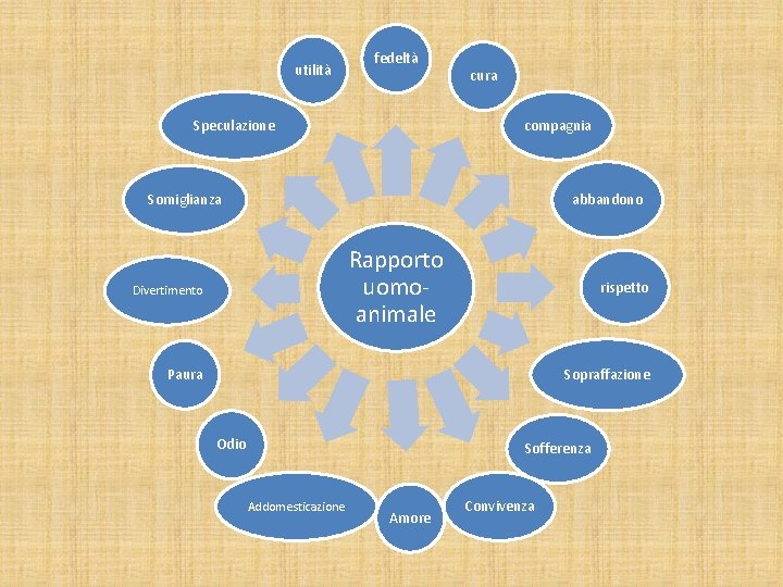 utilità fedeltà Speculazione cura compagnia abbandono Somiglianza Rapporto uomoanimale Divertimento rispetto Paura Sopraffazione Odio