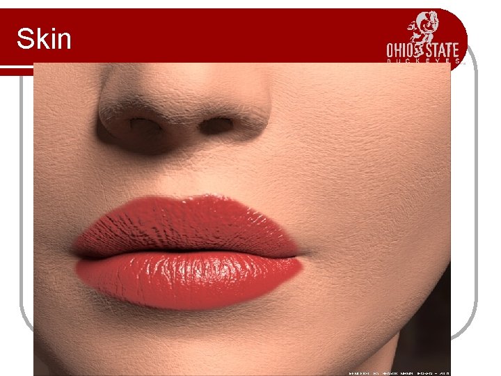 Skin 