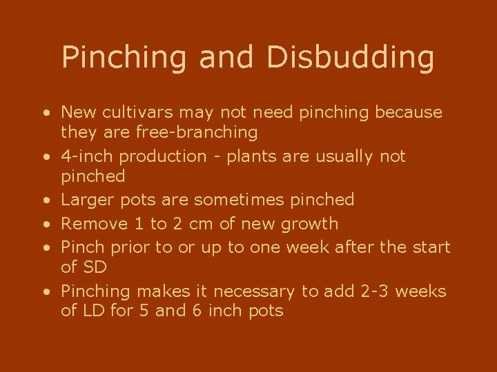 Pinching and Disbudding • New cultivars may not need pinching because they are free-branching