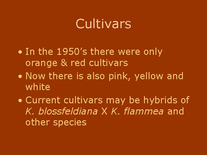 Cultivars • In the 1950’s there were only orange & red cultivars • Now