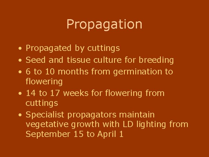 Propagation • Propagated by cuttings • Seed and tissue culture for breeding • 6