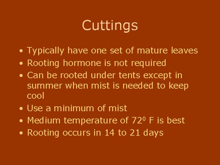 Cuttings • Typically have one set of mature leaves • Rooting hormone is not