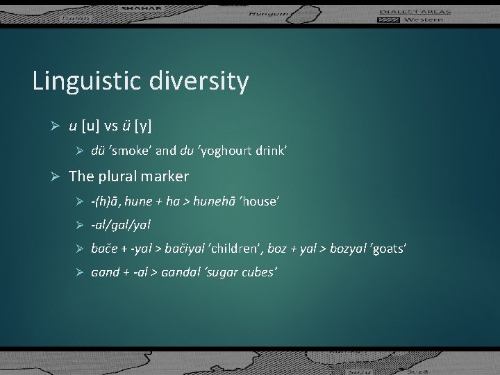Linguistic diversity Ø u [u] vs ü [y] Ø Ø dü ‘smoke’ and du