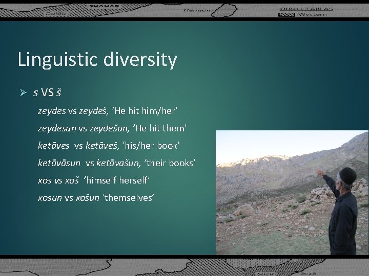 Linguistic diversity Ø s VS š zeydes vs zeydeš, ‘He hit him/her’ zeydesun vs