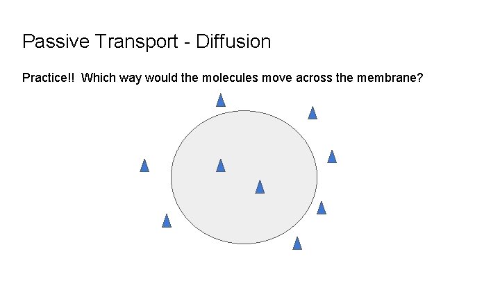 Passive Transport - Diffusion Practice!! Which way would the molecules move across the membrane?