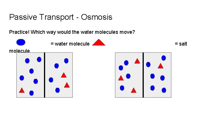 Passive Transport - Osmosis Practice! Which way would the water molecules move? = water