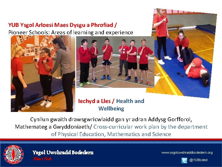 YUB Ysgol Arloesi Maes Dysgu a Phrofiad / Pioneer Schools: Areas of learning and