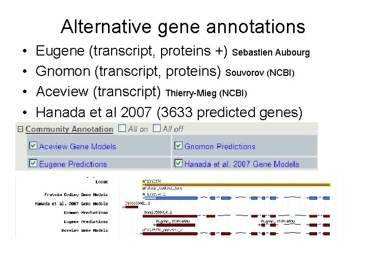 Alternative gene annotations • • Eugene (transcript, proteins +) Sebastien Aubourg Gnomon (transcript, proteins)