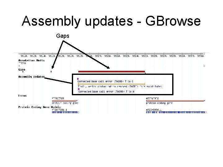 Assembly updates - GBrowse Gaps 