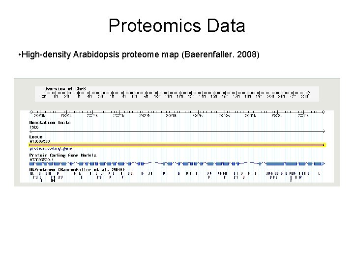 Proteomics Data • High-density Arabidopsis proteome map (Baerenfaller. 2008) 