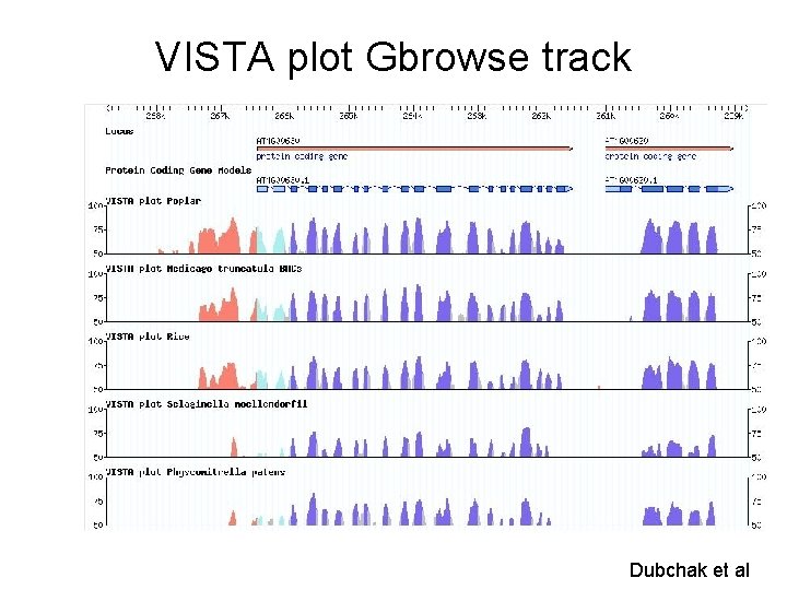 VISTA plot Gbrowse track Dubchak et al 