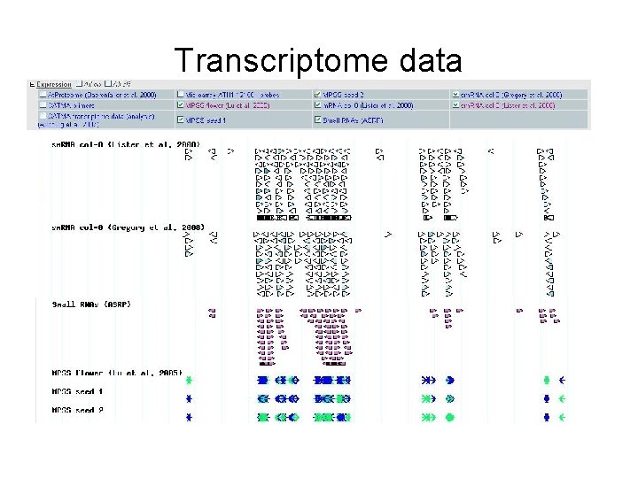 Transcriptome data 