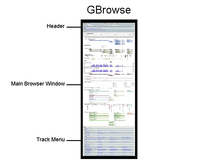 GBrowse Header Main Browser Window Track Menu 