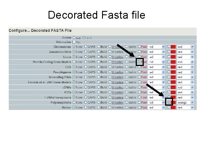 Decorated Fasta file 