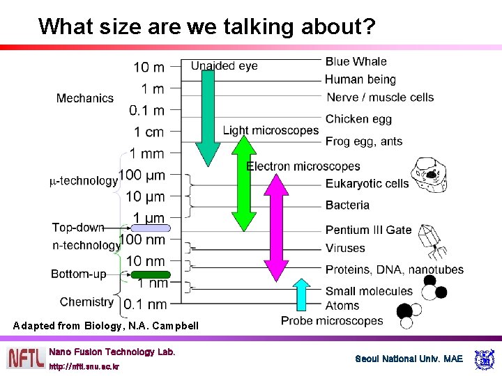 What size are we talking about? Adapted from Biology, N. A. Campbell Nano Fusion