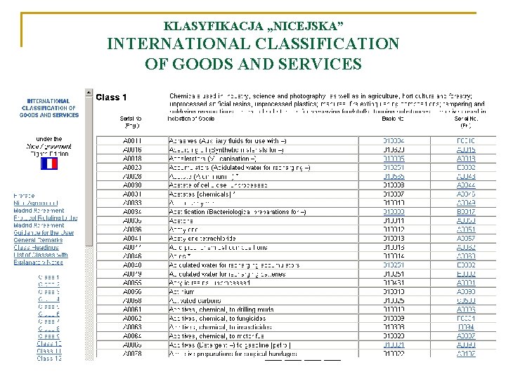 KLASYFIKACJA „NICEJSKA” INTERNATIONAL CLASSIFICATION OF GOODS AND SERVICES 