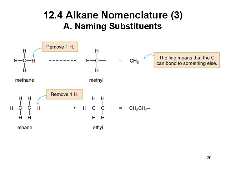 12. 4 Alkane Nomenclature (3) A. Naming Substituents 20 