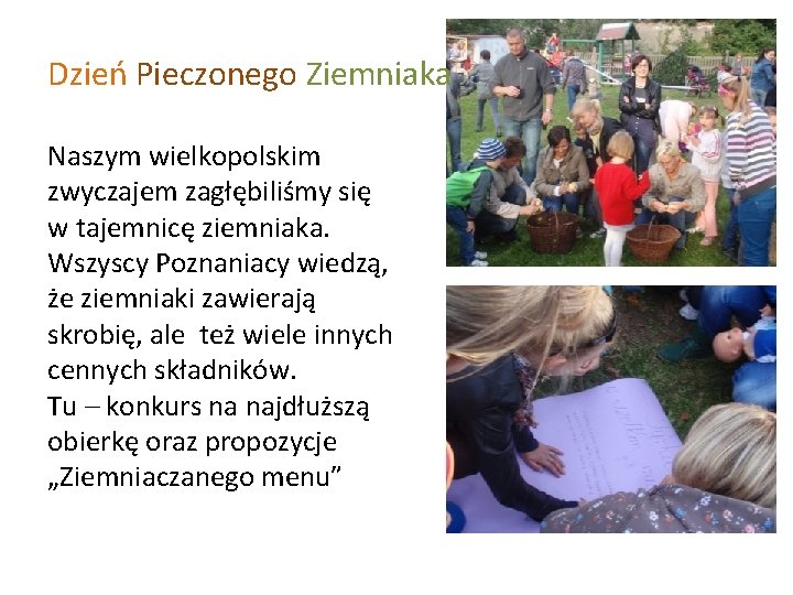 Dzień Pieczonego Ziemniaka Naszym wielkopolskim zwyczajem zagłębiliśmy się w tajemnicę ziemniaka. Wszyscy Poznaniacy wiedzą,