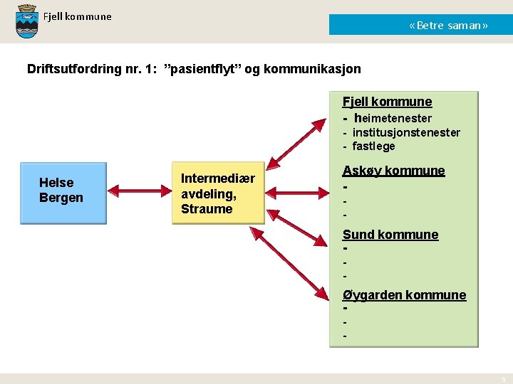 Fjell kommune «Betre saman» Driftsutfordring nr. 1: ”pasientflyt” og kommunikasjon Fjell kommune - heimetenester