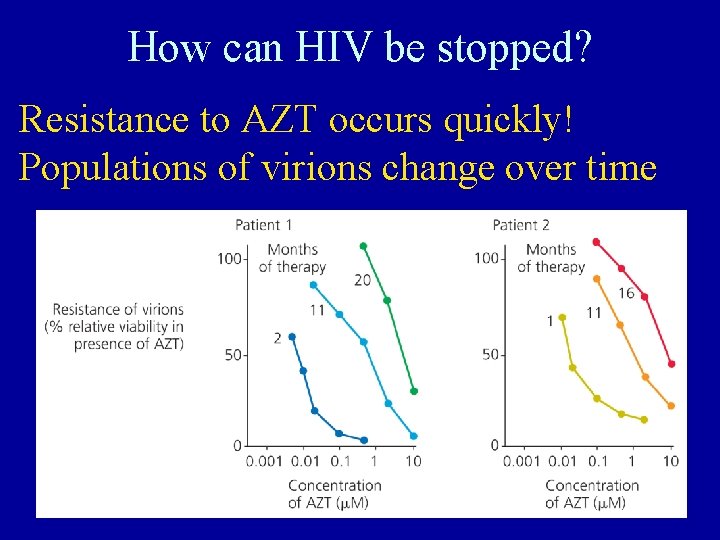 How can HIV be stopped? Resistance to AZT occurs quickly! Populations of virions change