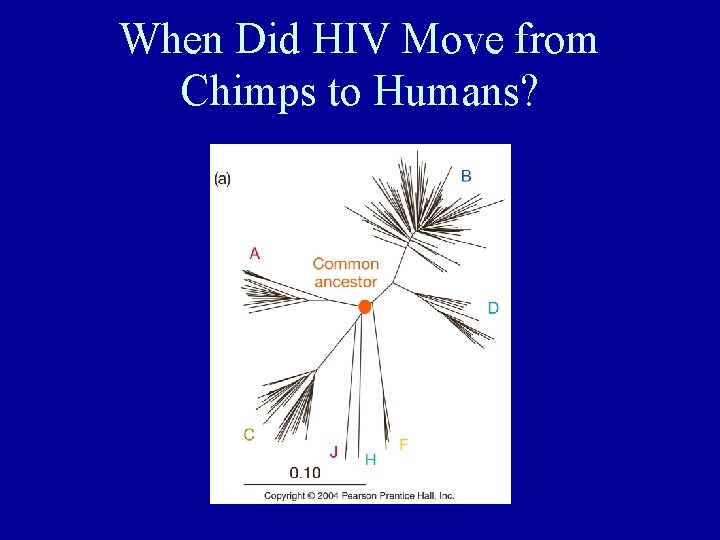 When Did HIV Move from Chimps to Humans? 